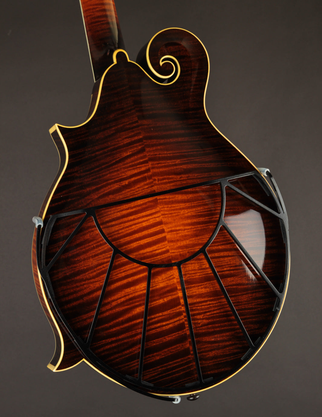 Tone-Gard Sunrise for Mandolin