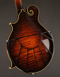 Tone-Gard Sunrise for Mandolin